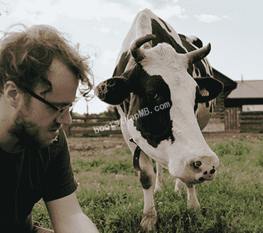 More trust in the resilience of your cows